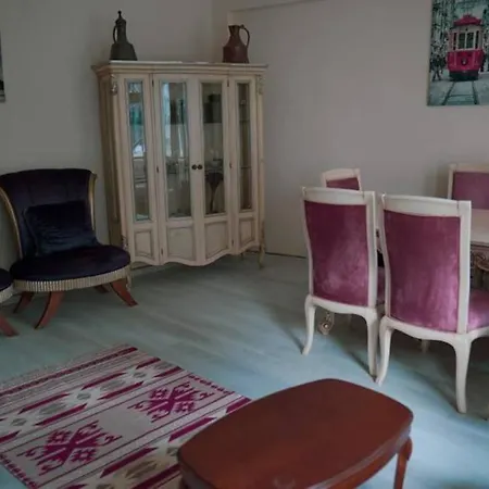 Great Location.vintage House At City Center Lejlighed Istanbul